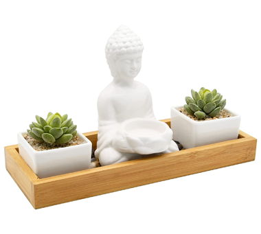 Buddha Statue & Succulent Zen Garden & Tea Light Candle Holder Set 